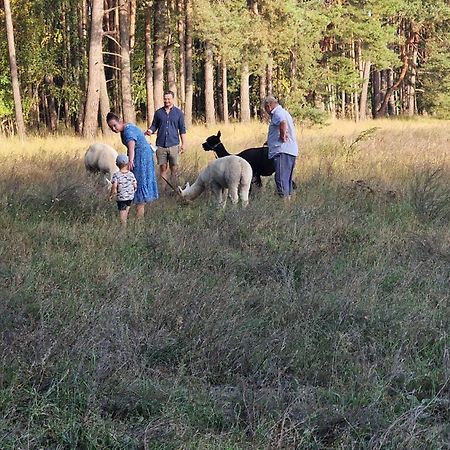 Ferienpark-Canow Екстер'єр фото