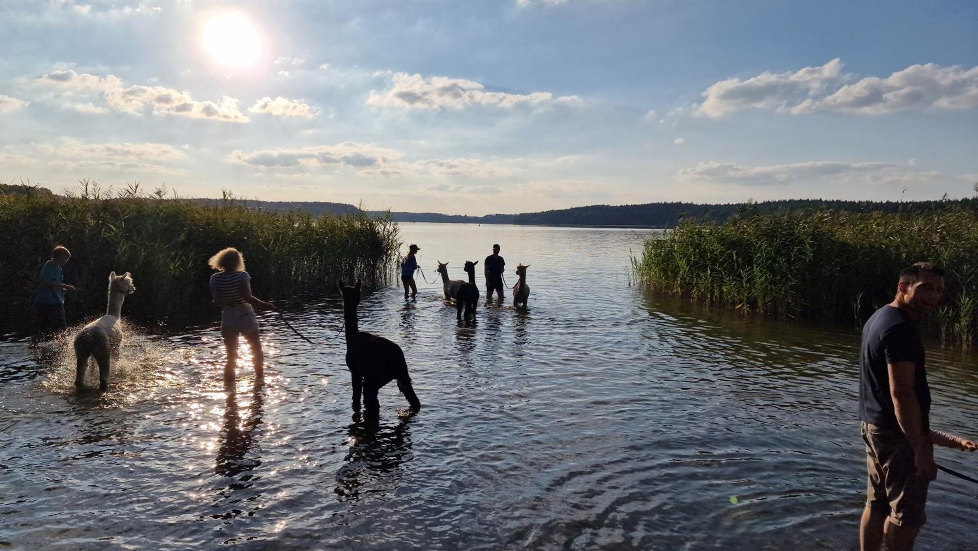 Ferienpark-Canow Екстер'єр фото